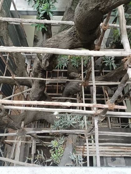 This collection shows various other details from our projects, both completed and in progress. It includes shots of material textures, interior furnishings, light studies, and moments of life that bring our architectural spaces to completion.