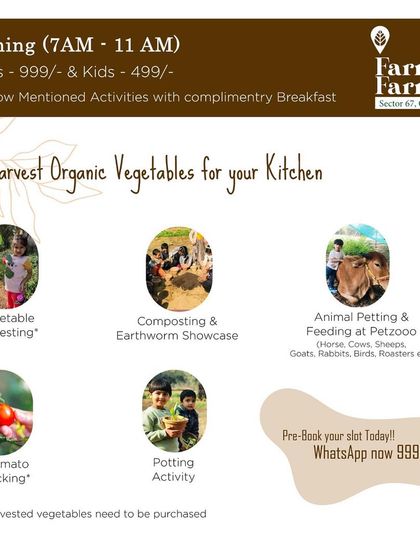 Farmus - Farm Day Out Experience Packages & Information photo 9