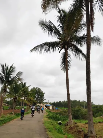 A group rides down a road lined with tall palm trees, showcasing the tropical feel of the Bangalore outskirts.