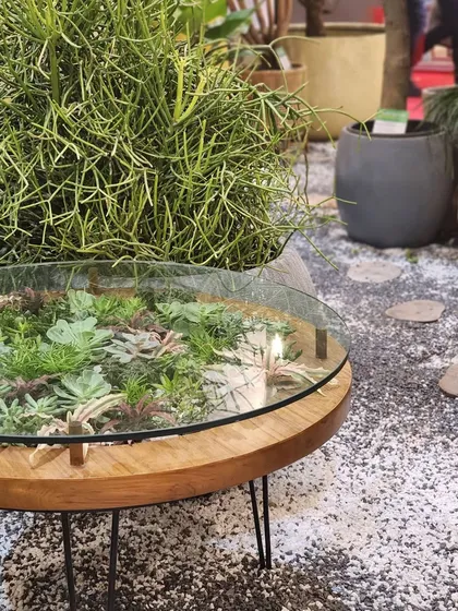 Yes, this coffee table houses real, live plants. Our 'Tablearium' is for those who love epic, one-of-a-kind pieces. It's a perfect fusion of furniture design and horticulture, creating a garden you can gather around.