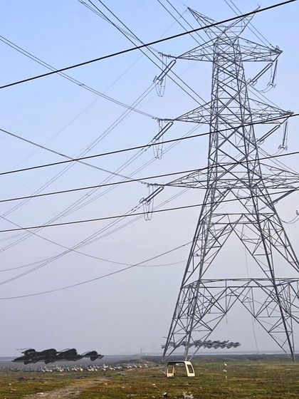 An ornithograph showing Bar-headed geese taking off near a massive power grid installation at Najafgarh Lake.