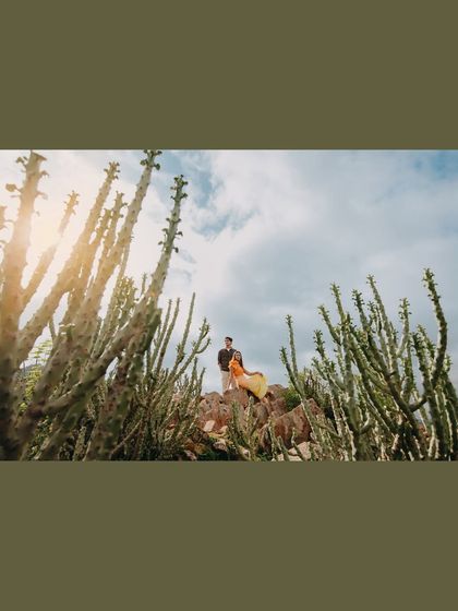 A low-angle shot using cacti as a unique foreground element in Udaipur. This creative framing adds depth and a touch of the wild to a romantic pre-wedding portrait.