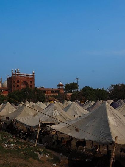Tents set up for the Bakra Mandi, with the grand Jama Masjid visible in the background. The scene shows the temporary city that springs up for the market.