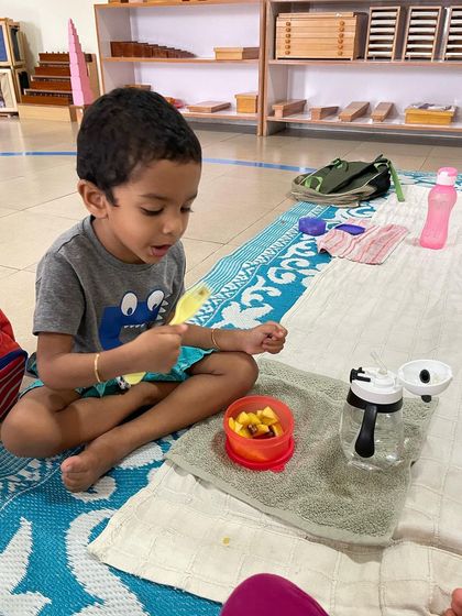 Siksha Montessori - Montessori Elementary School Program (Ages 6+) A Day at Siksha: The Self-Directed Classroom photo 14