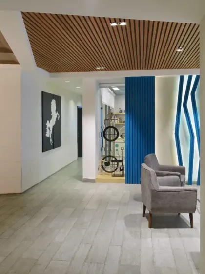 Contemporary Urban Homes photo 10