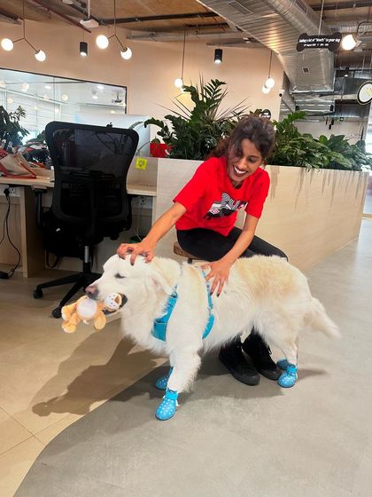 Zoella Dog Training - Puppy Foundation Training Building a Confident, World-Ready Pup photo 4