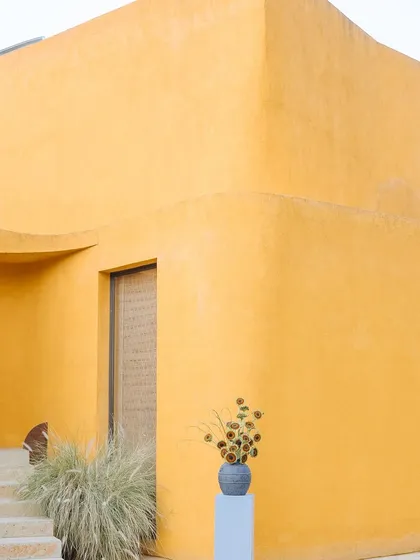 A simple composition of our sun-soaked walls, wild grass, and a vase of sunflowers captures the quiet, artistic spirit of Anvaya.