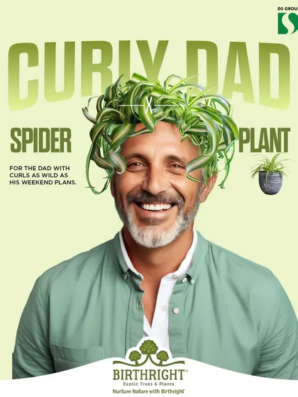 Does your dad have curls as wild as his weekend plans? The Spider Plant is his match. Find the perfect leafy look for your dad's vibe from our Father's Day collection.
