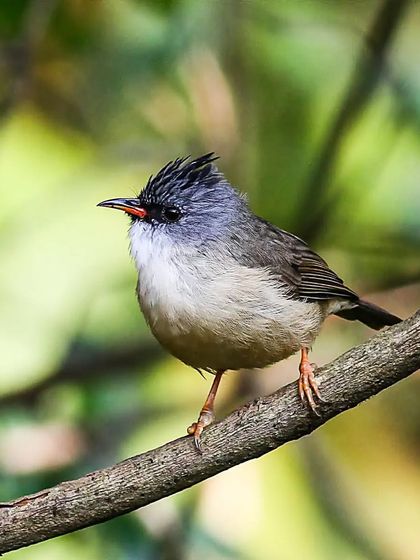 Himalayan Encounters photo 15