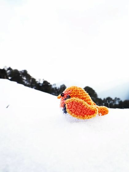 My little bird 'Titli' enjoying a snowy mountain view. I love taking my creations on my travels. This robin is a perfect example of a small, portable friend.