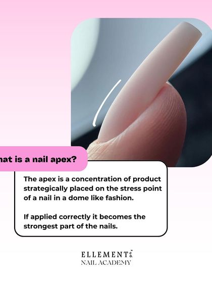 What is a nail apex? This educational post explains that the apex is a concentration of product on the stress point of the nail, making it the strongest part of the enhancement.