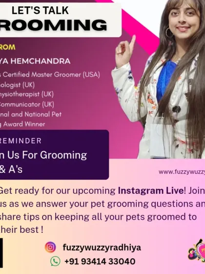 Fuzzy Wuzzy - Pet Grooming & Spa Awards, Events & My Credentials photo 9