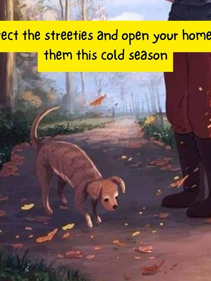 Oh My Dawg - Animal Welfare & Adoption Services Speaking for the Voiceless: Advocacy & Awareness photo 15