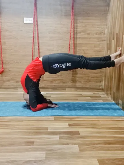 Using the wall for support is a great way to build strength and confidence in inversions. This student practices a variation of a forearm stand, holding her body parallel to the floor.