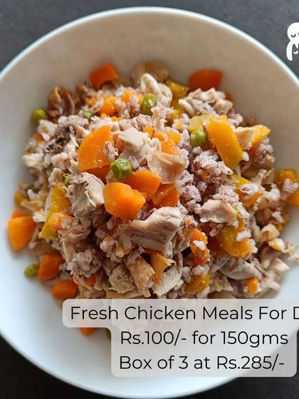 Hungry Eyes - Freshly Cooked Dog Meals A Look Inside the Bowl: Our Meal Menu photo 6