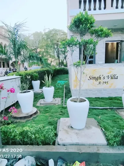 For "Singh's Villa," we created a welcoming front garden using a combination of potted plants and in-ground planting. The large white planters add a modern touch, while the flowering bougainvillea provides a splash of color.