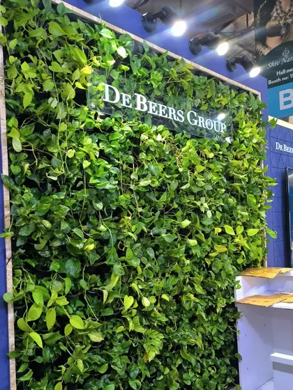 This lush, living vertical garden was created for the De Beers Group office in Goregaon, Mumbai. A wall of real money plants brings positive energy and fresh air into the corporate environment.