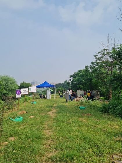 A view of the Ghata Bundh restoration site, where our corporate partners from NatWest are busy planting saplings against the backdrop of Gurgaon's high-rises.