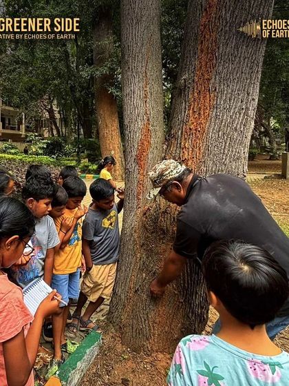 Scenes from our nature journaling event with The Greener Side, where kids explored trees, insects, and flowers, capturing their discoveries through drawing and reflection.