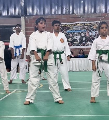 Sudokann Martial Arts - Karate Training (Kids & Adults) The Dojo: Training in Session photo 15