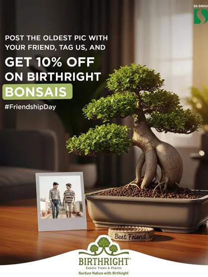 A bonsai next to a photo of old friends perfectly captures the idea of a bond that deepens over time. Our Friendship Day offers make it easy to give a gift with such a beautiful meaning.