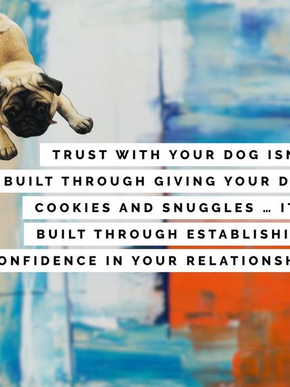 Tulsa Dog Trainer - Immersive Board & Train Programs Training Tips for Owners photo 3