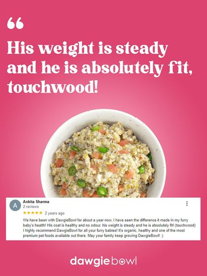 Maintaining a steady weight and keeping a pet fit is a key benefit of our portion-controlled meals. This review highlights how our organic, healthy food helps maintain a pet's ideal condition, complete with a healthy coat and no odour.