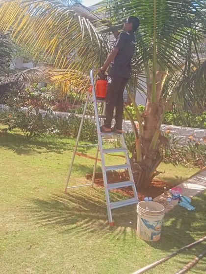 Hygrinz - Garden Maintenance Garden & Lawn Maintenance photo 3