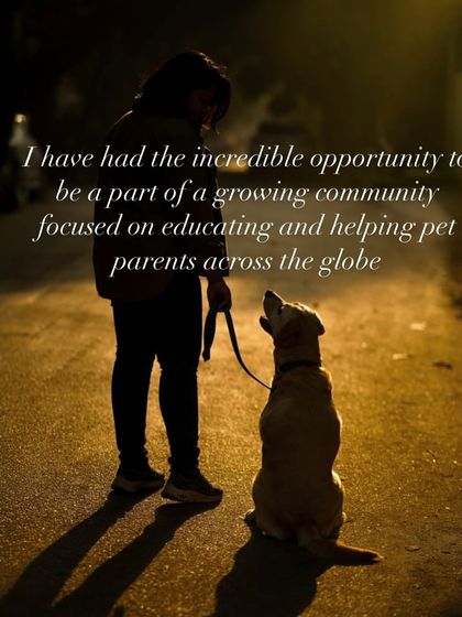 Confident Dogs - Puppy Foundation Program My Philosophy & Advice photo 3