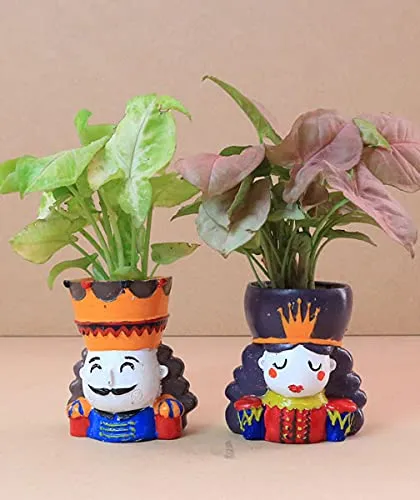 Meet my adorable King and Queen resin planters. These small, character-filled pots are perfect for housing tiny succulents or air plants and make for a quirky and charming gift, especially for couples or as a fun addition to a workspace.