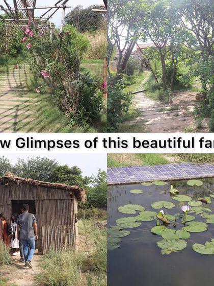 The serene setting of our second meet-up at Nehar Sahibi Farm, featuring natural pathways, a bamboo hut, and a solar-powered pond with water lilies.
