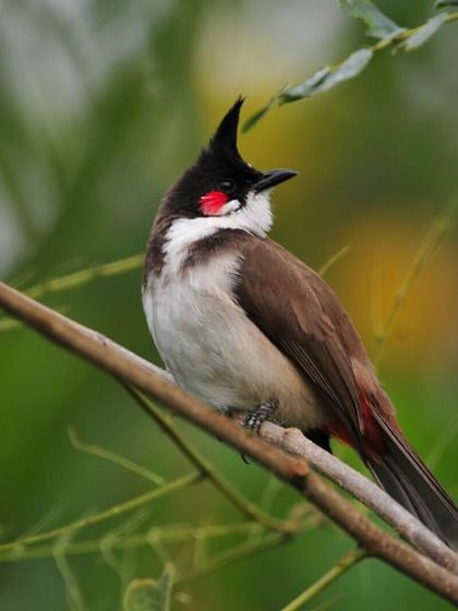 Discovery Village Resorts - Corporate & Group Outings Relaxed Pursuits & Nature Connection photo 26