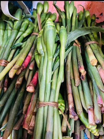 Freshly bundled organic Ginger Flower. This is a seasonal delicacy used in Northeast cooking to add a unique, mild ginger fragrance to salads and curries.