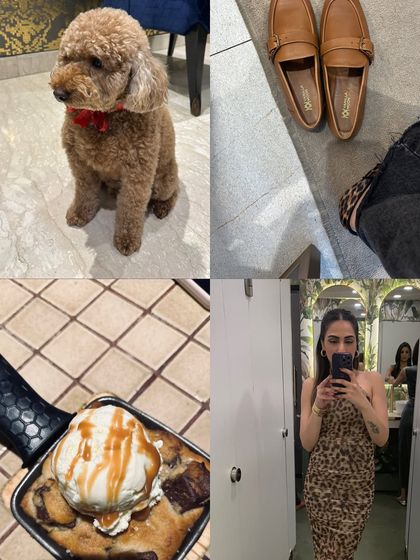 A collage of brown-themed things: my dog, a dessert, new shoes, and an animal print dress.