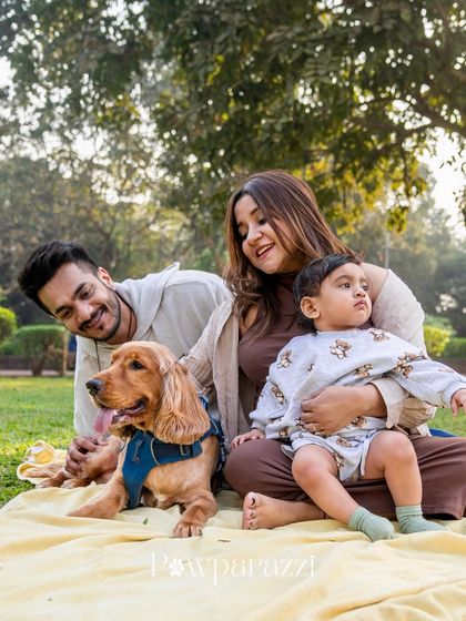 Pawparazzi By Prathima - Maternity & Newborn Photography with Pets Kids & Pups: Partners in Crime photo 8
