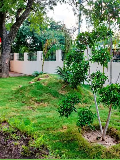 Lawn Care & Revitalization photo 6