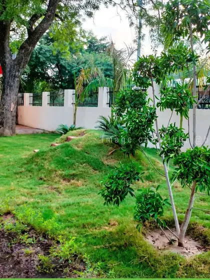 Here you can see a landscaping project taking shape with freshly laid grass on contoured ground. I specialize in shaping terrain and planting new lawns to create dynamic and natural-looking landscapes.