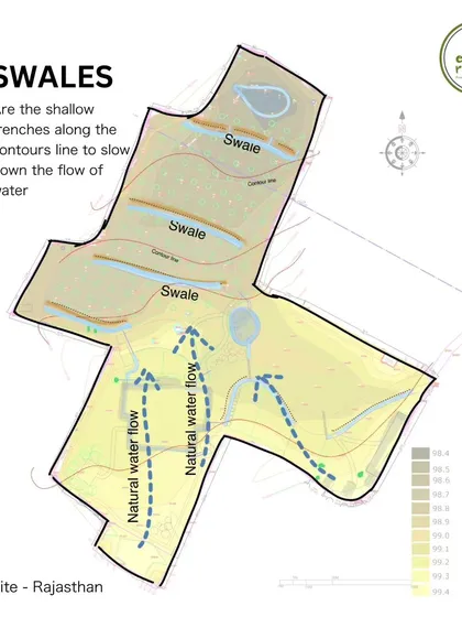 For a large permaculture site in Rajasthan, our first step was to map the land's contours and natural water flow. This technical drawing shows our plan to create swales along the contour lines to slow and capture rainwater.