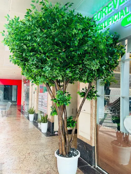 A classic artificial Ficus tree with a dense canopy of green leaves, placed at the entrance of our store to welcome visitors.