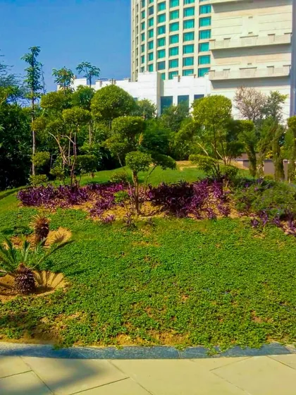 A view of a corporate or public park landscape we executed, featuring sculpted mounds, colorful ground cover, and manicured trees. This type of design adds visual interest and a sense of artistry to large green spaces.