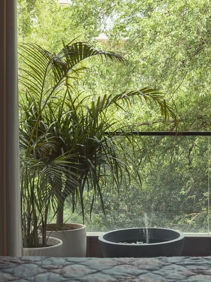 Even the smallest balcony can become a personal sanctuary. Here, a simple combination of a potted palm and a stone bowl water feature creates a tranquil corner, demonstrating my expertise in urban balcony makeovers and small space landscape design.