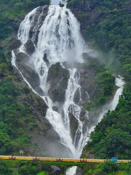 A stunning shot of Dudhsagar Falls with a yellow train crossing the bridge, offering a beautiful color contrast against the green landscape.