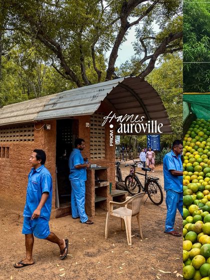 A collage titled 'Frames from Auroville', capturing the unique, earthy architecture and local life.