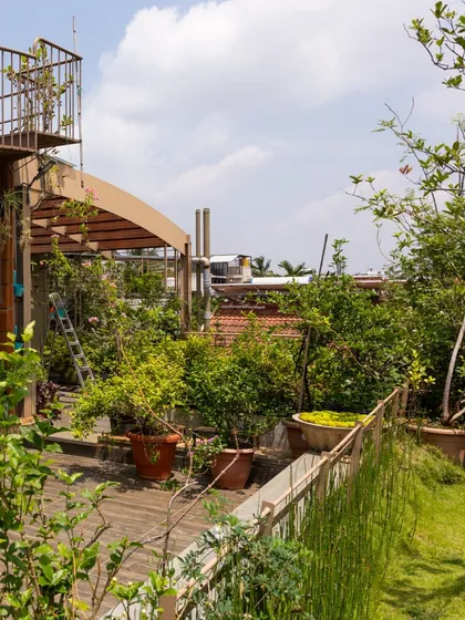 A rooftop transformed into a productive garden. This terrace is filled with potted fruit trees and plants, creating a green oasis in the city. The wooden deck provides a warm, natural surface for enjoying this elevated escape.