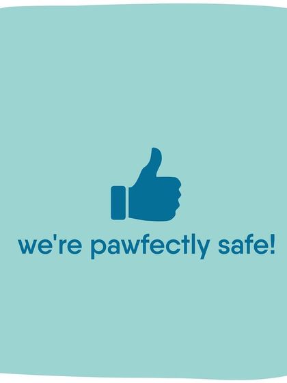 You can rest assured, we're pawfectly safe!