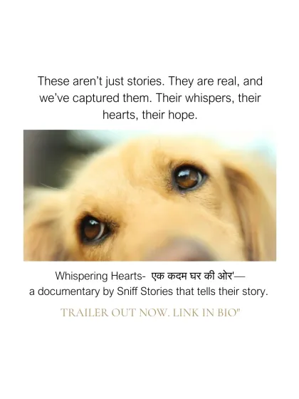 Sniff Stories - Pet Videography Whispering Hearts: Our Shelter Stories photo 4