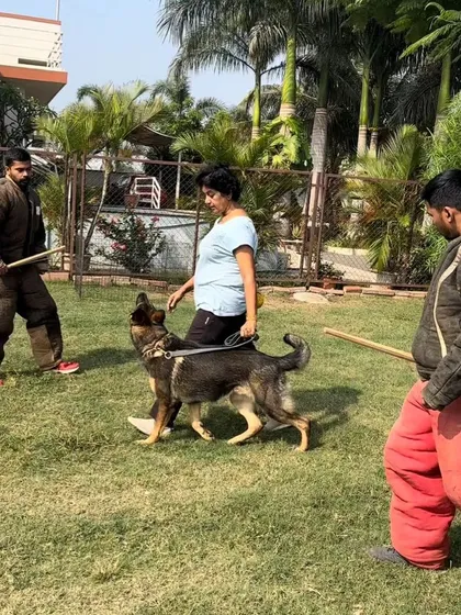 A great training session in Pune with fellow decoys and handlers. The opportunity to work with different dogs and learn from other trainers is invaluable to my growth in the sport.