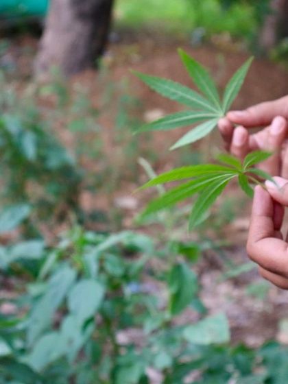 Farmus - Farm Day Out Experience Special Workshops & Seasonal Fun photo 12