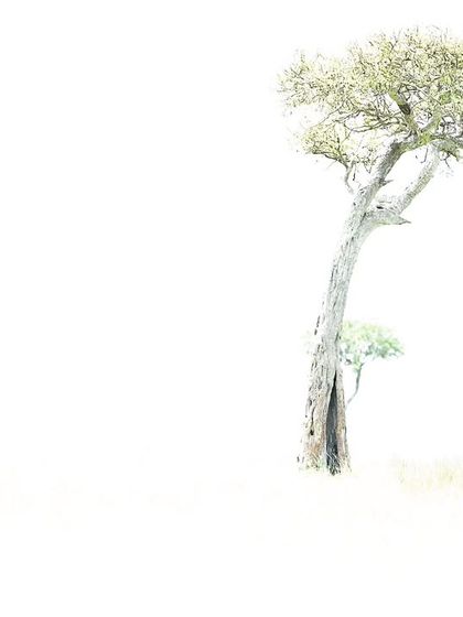 The Art of Seeing: Creative Compositions photo 22