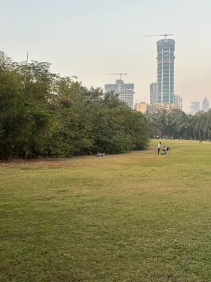 A wide view of our open green lawn, where families relax and children play. This space is a vital part of our community, offering room to breathe and connect with nature.